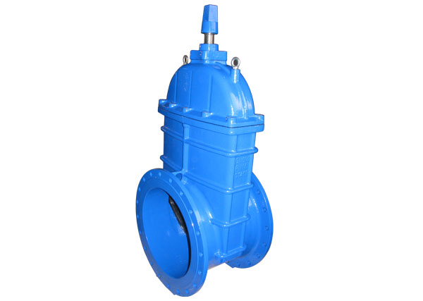 河北國(guó)標(biāo)地下軟密封閘閥