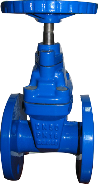 德標(biāo)新型雙蓋閘閥 德標(biāo)新型雙蓋閘閥